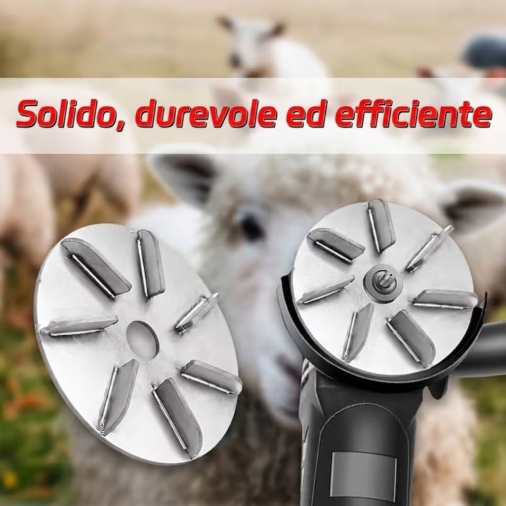 🔥Offerta speciale| Disco Depilatore per Smerigliatrice