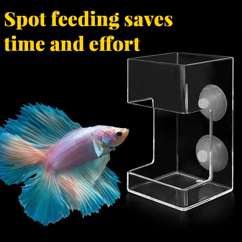 Alimentatore Galleggiante per Acquario