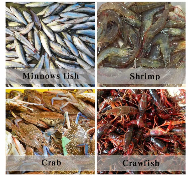 Rete da pesca con 8 porte