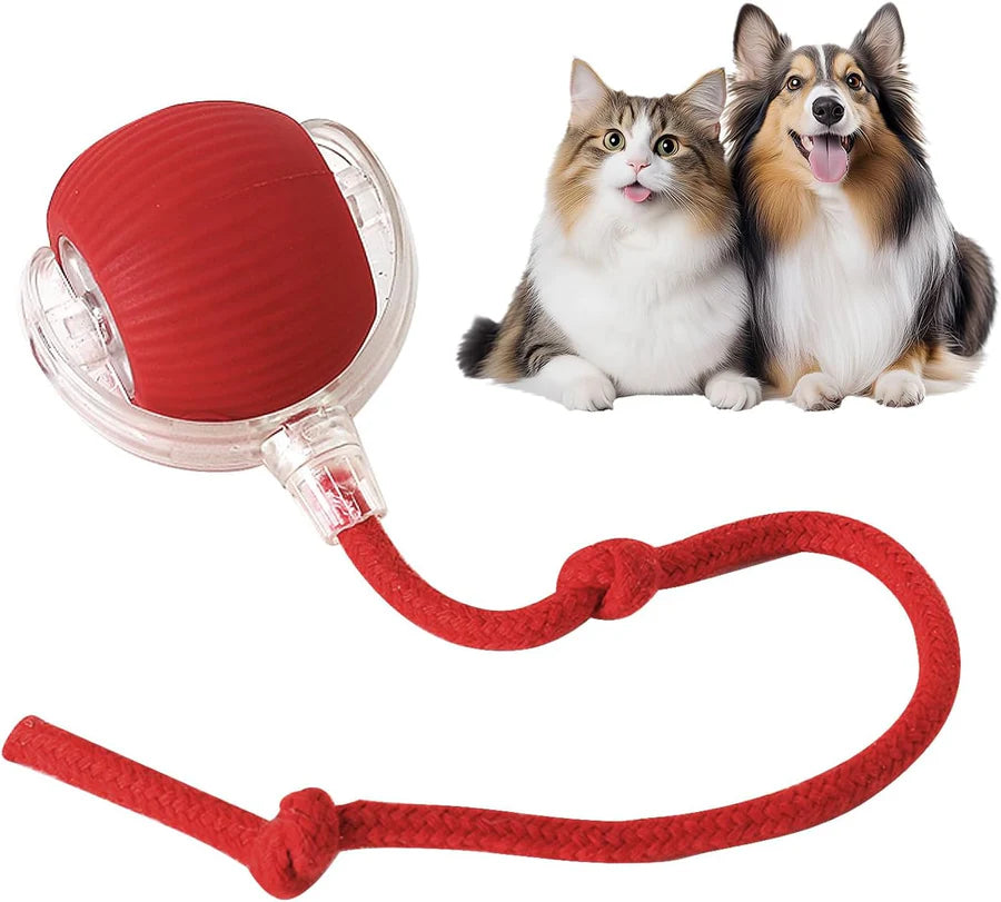Palla elettrica intelligente e rotante per cani e gatti