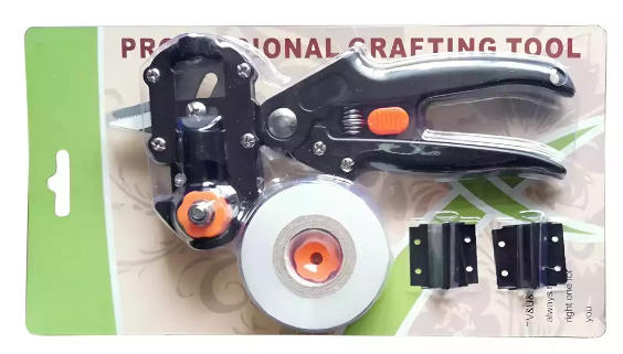 Set di strumenti per innesto da giardino