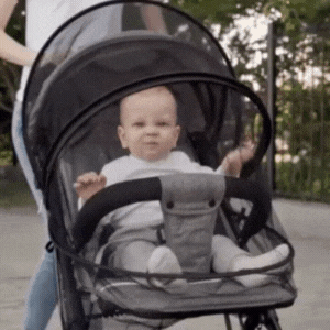 Zanzariera per passeggino