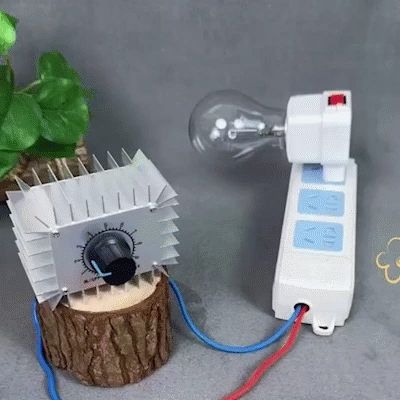 Regolatore di Tensione Elettronico