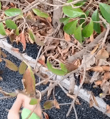 Manicotti antitaglio per un lavoro sicuro