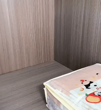 Borse portaoggetti trasparenti per armadio