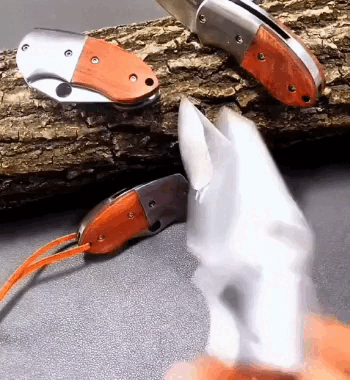 Coltello Pieghevole in Acciaio Inossidabile