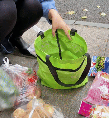 Borsa della spesa pieghevole con carrello