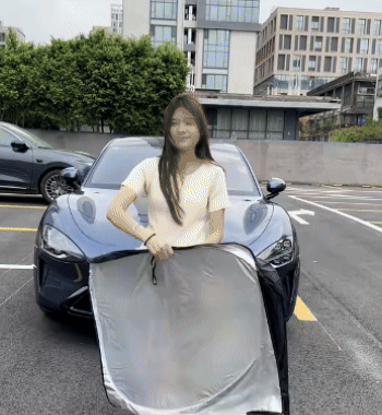 Parasole pieghevole per parabrezza dell'auto