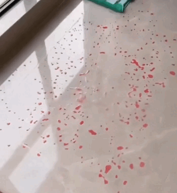 Mocio Professionale in Microfibra