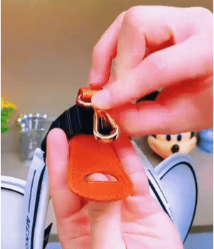 🌟Portacappelli magnetico da viaggio