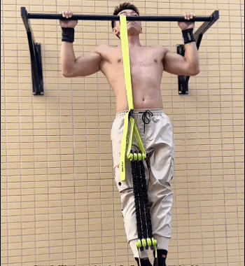 Fascia di supporto per trazioni