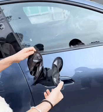 Visiera Parasole con Adesione Statica