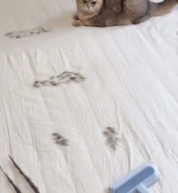 Spazzola per Rimuovere i Peli degli Animali