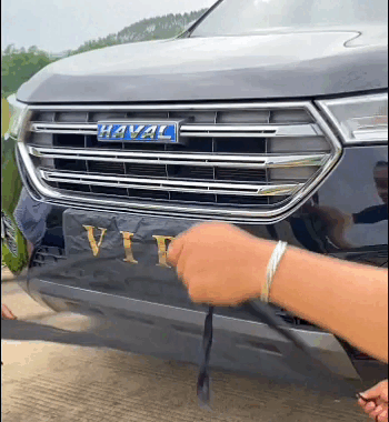 Rete di Protezione per Griglia dell’Auto