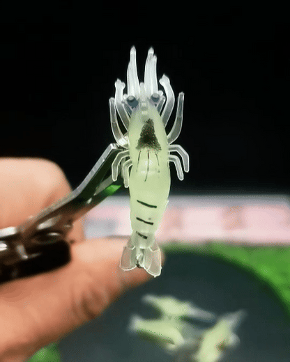 Esca Gambero Morbida Fosforescente – Movimento Realistico
