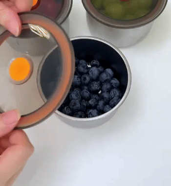 Set di contenitori alimentari rotondi in acciaio inox