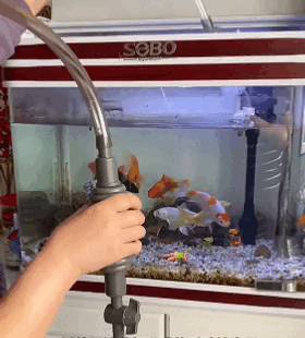 Aspiratore per la pulizia dell’acquario