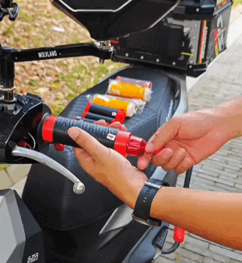 Coprimanubrio e coprileva freno