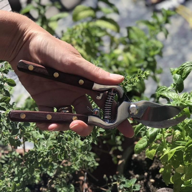 Forbici Multifunzionali Per Potatura Alberi