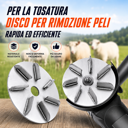🔥Offerta speciale| Disco Depilatore per Smerigliatrice