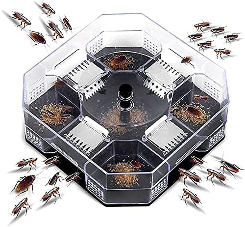 Scatola trappola per scarafaggi