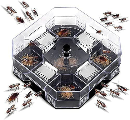 Scatola trappola per scarafaggi