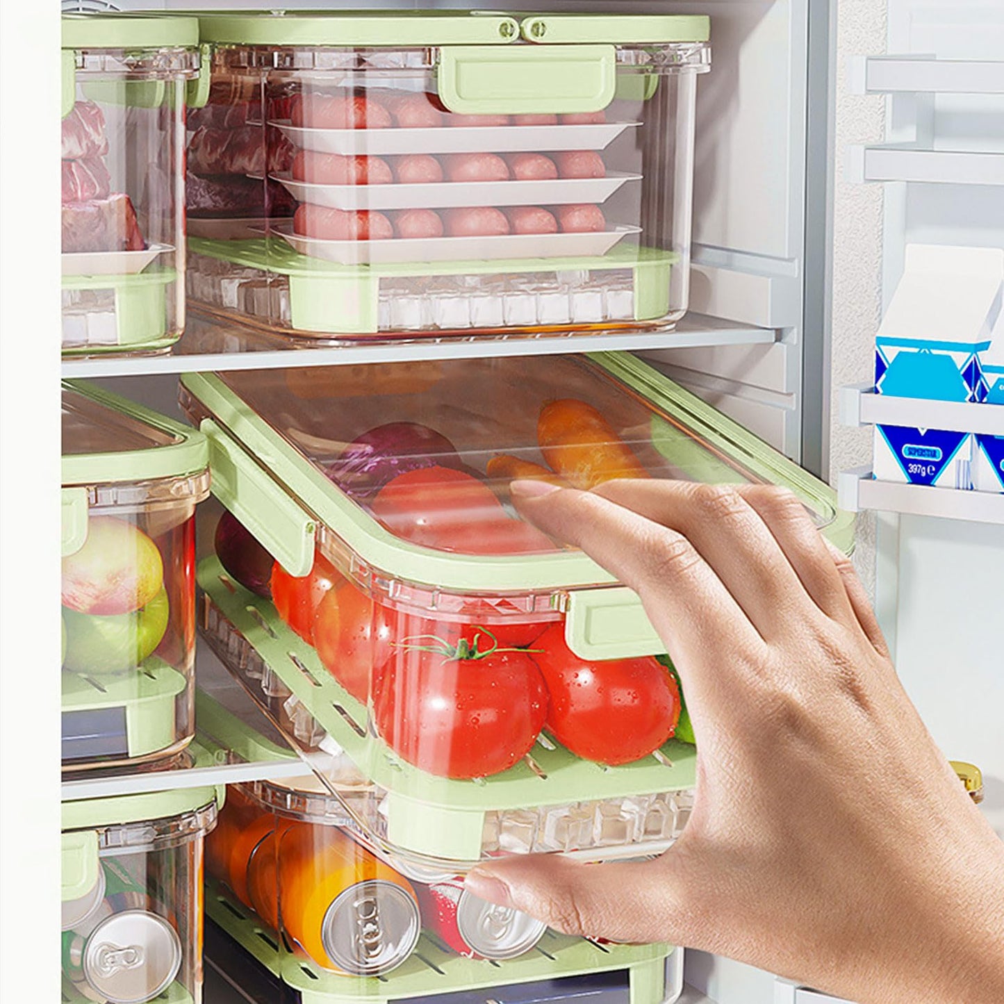 Scatola per la Conservazione da Esterno