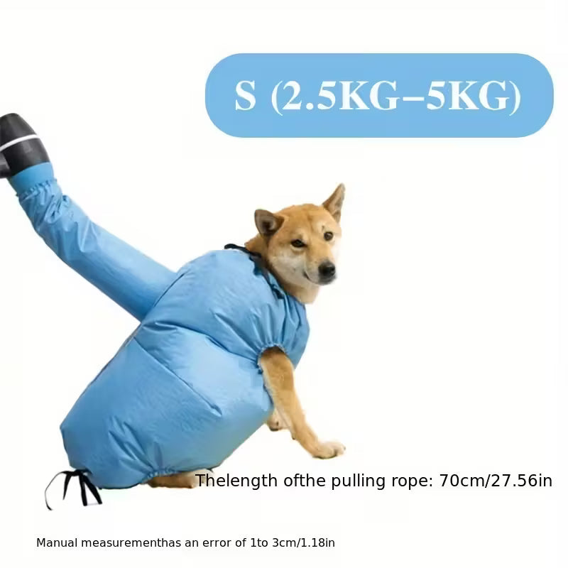 Borsa per asciugatura rapida dei capelli per animali domestici