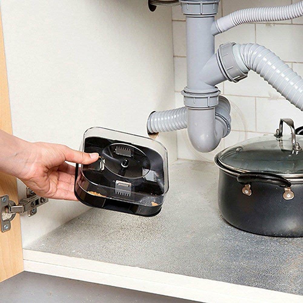 Scatola trappola per scarafaggi