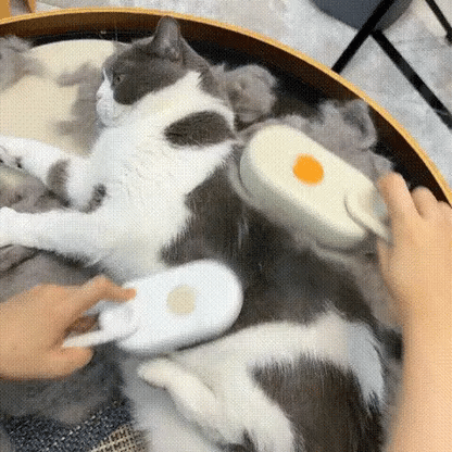 Spazzola a vapore per animali domestici 3 in 1