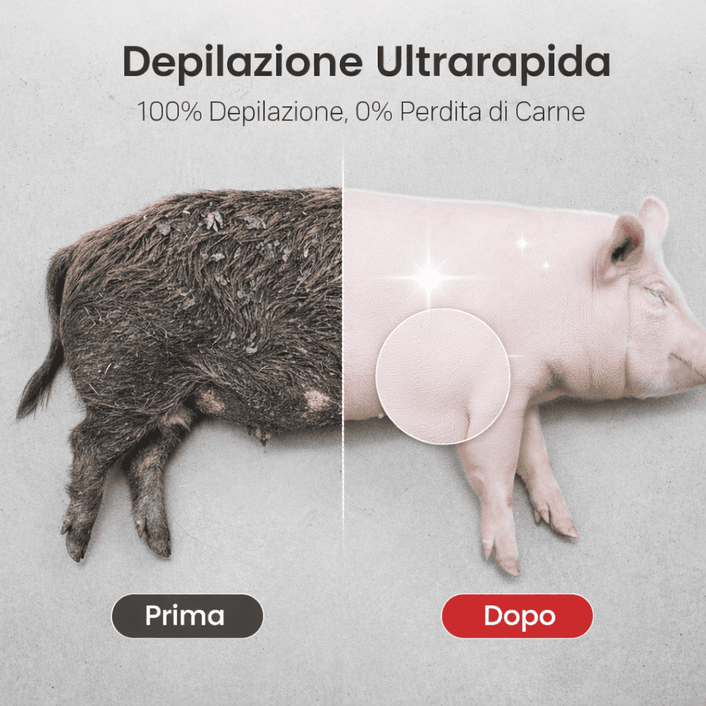 Disco Raschiatore per la Rimozione dei Peli