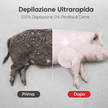 Disco Raschiatore per la Rimozione dei Peli