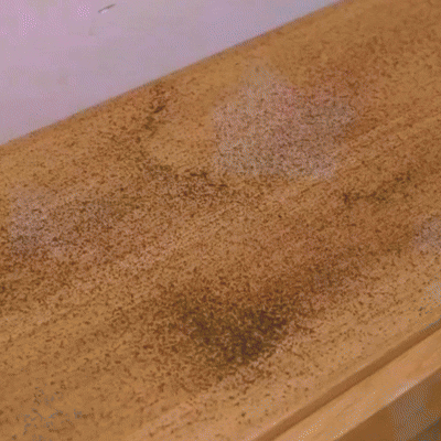 Spazzola antipolvere elettrostatica