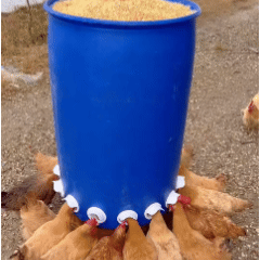 Kit 6 Porte Mangiatoia Fai Da Te Per Pollame