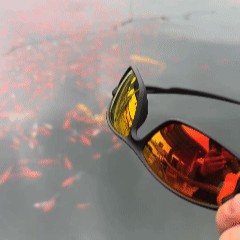 Occhiali Da Sole Sportivi Polarizzati UV400 Leggeri Per Esterni