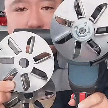 Disco per la rimozione dei peli di maiale 💪
