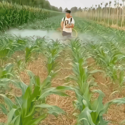 Pistola Nebulizzatrice Agricola a Ugelli