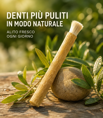 Bastoncini di Miswak Spazzolino Naturale per Denti