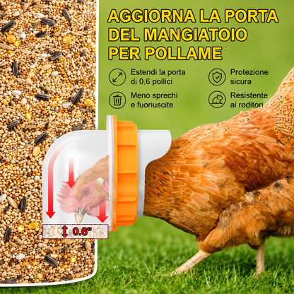 Kit 4 Porte Mangiatoia Fai Da Te Per Pollame