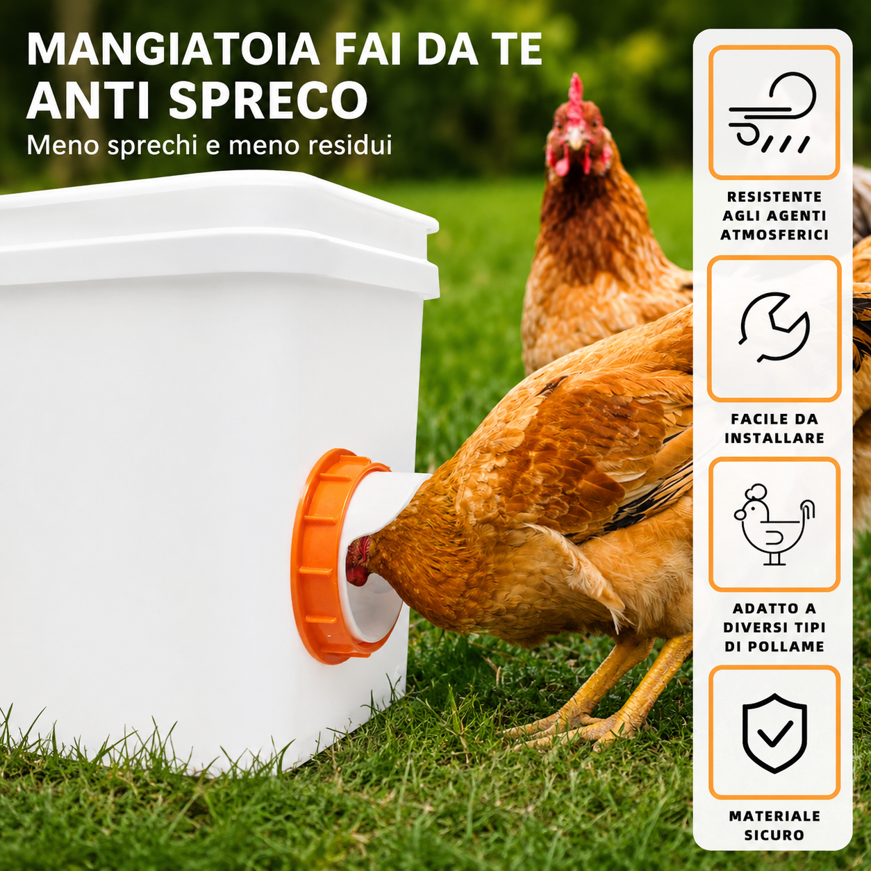 Kit 4 Porte Mangiatoia Fai Da Te Per Pollame