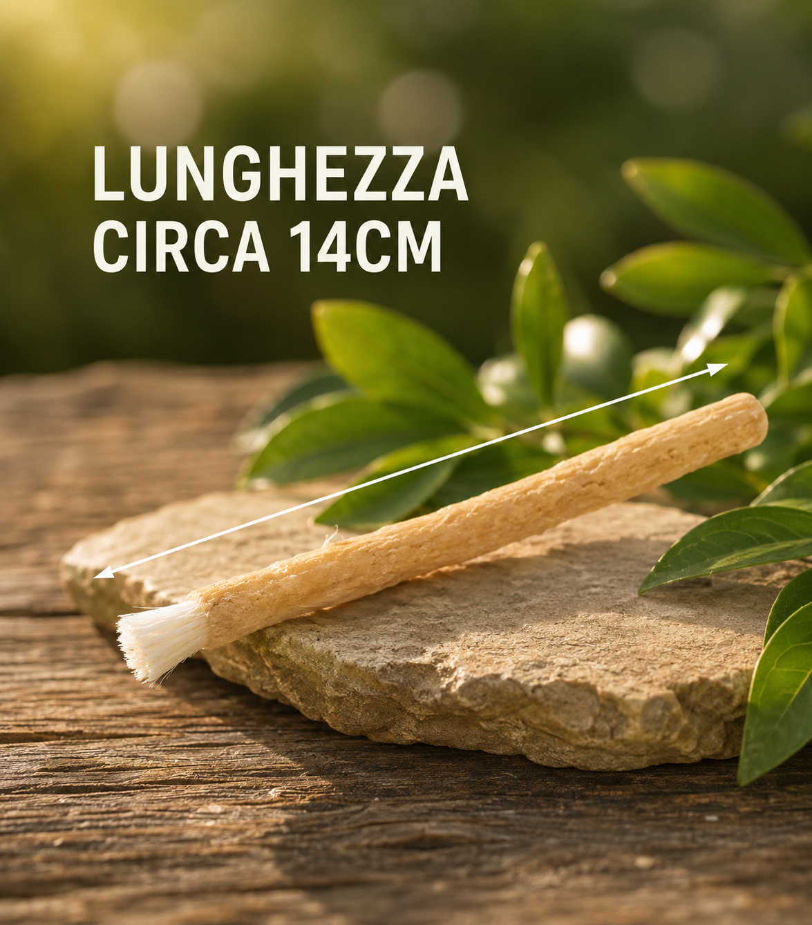 Bastoncini di Miswak Spazzolino Naturale per Denti