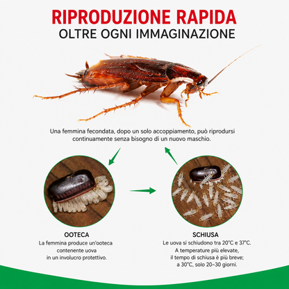 Esca In Gel Per Scarafaggi Pratica Ed Efficace