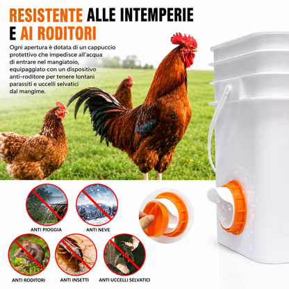Kit 4 Porte Mangiatoia Fai Da Te Per Pollame