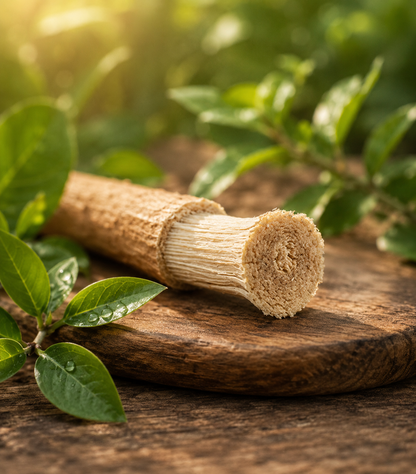 Bastoncini di Miswak Spazzolino Naturale per Denti