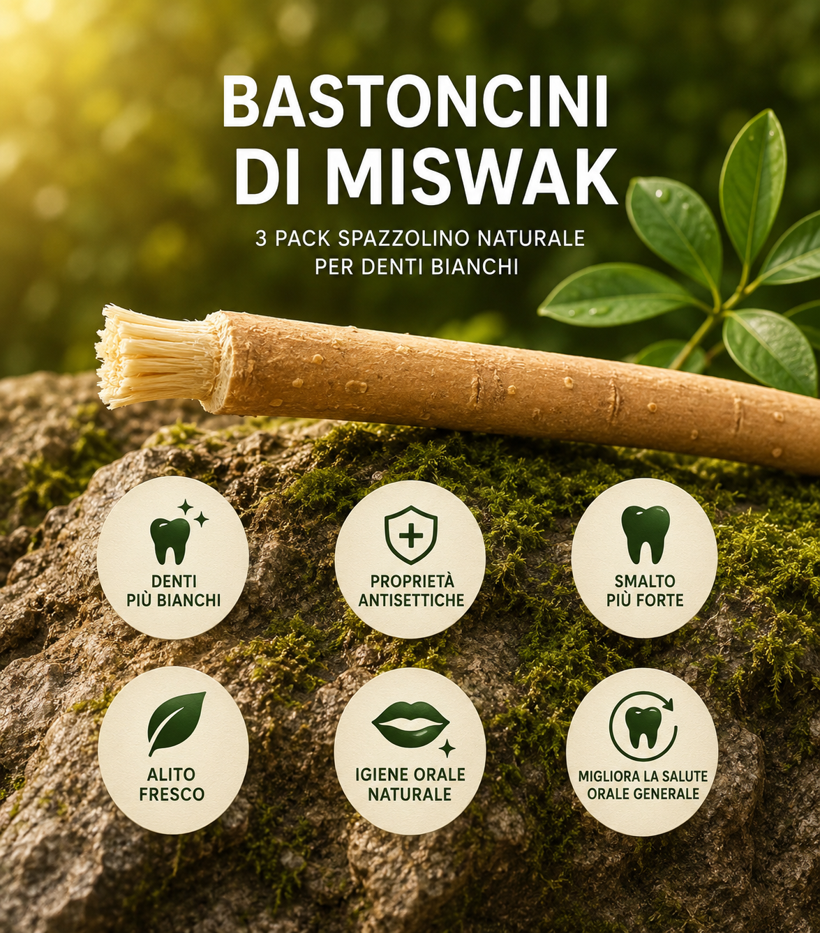 Bastoncini di Miswak Spazzolino Naturale per Denti