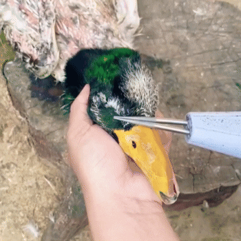 Spiumatore Elettrico Portatile