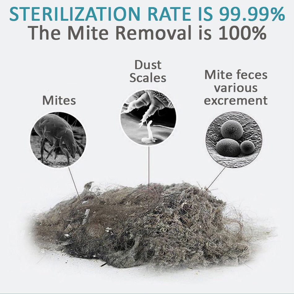Strumento potente per la rimozione degli acari