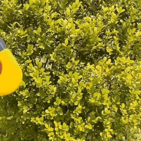 Luce di avvertimento per fermo di emergenza