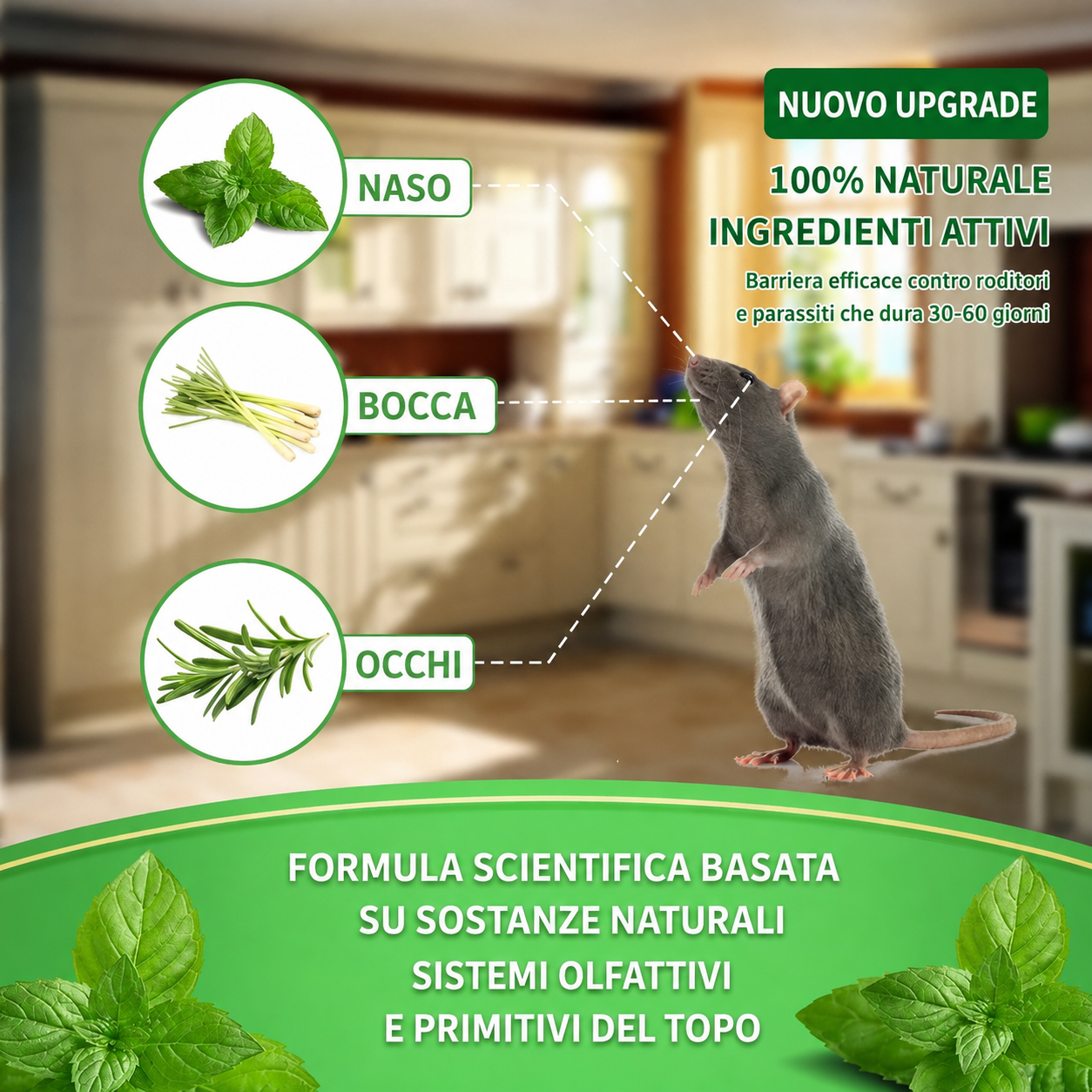 Palline in quarzo per allontanare topi, insetti e serpenti 🐭🦟🐍