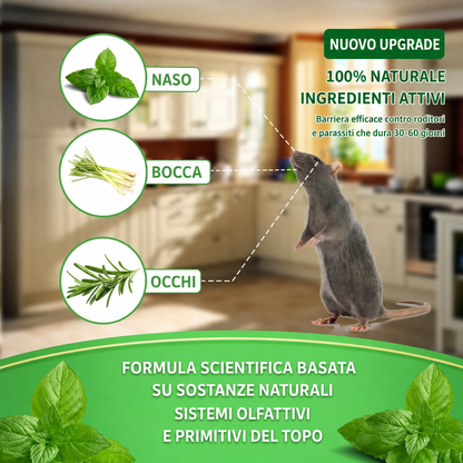 Palline in quarzo per allontanare topi, insetti e serpenti 🐭🦟🐍